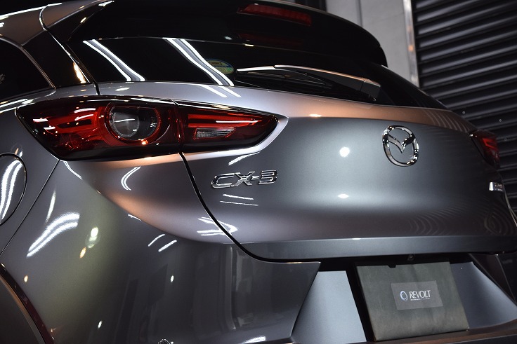 cx-3-01 DSC_0254