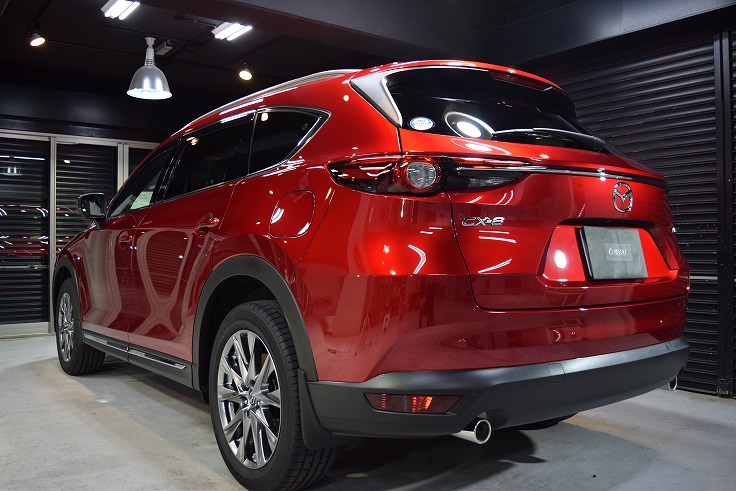 cx-8-07 DSC_0447