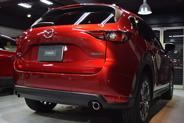 CX-5-10 DSC_0497